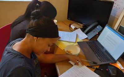 Night School Update II